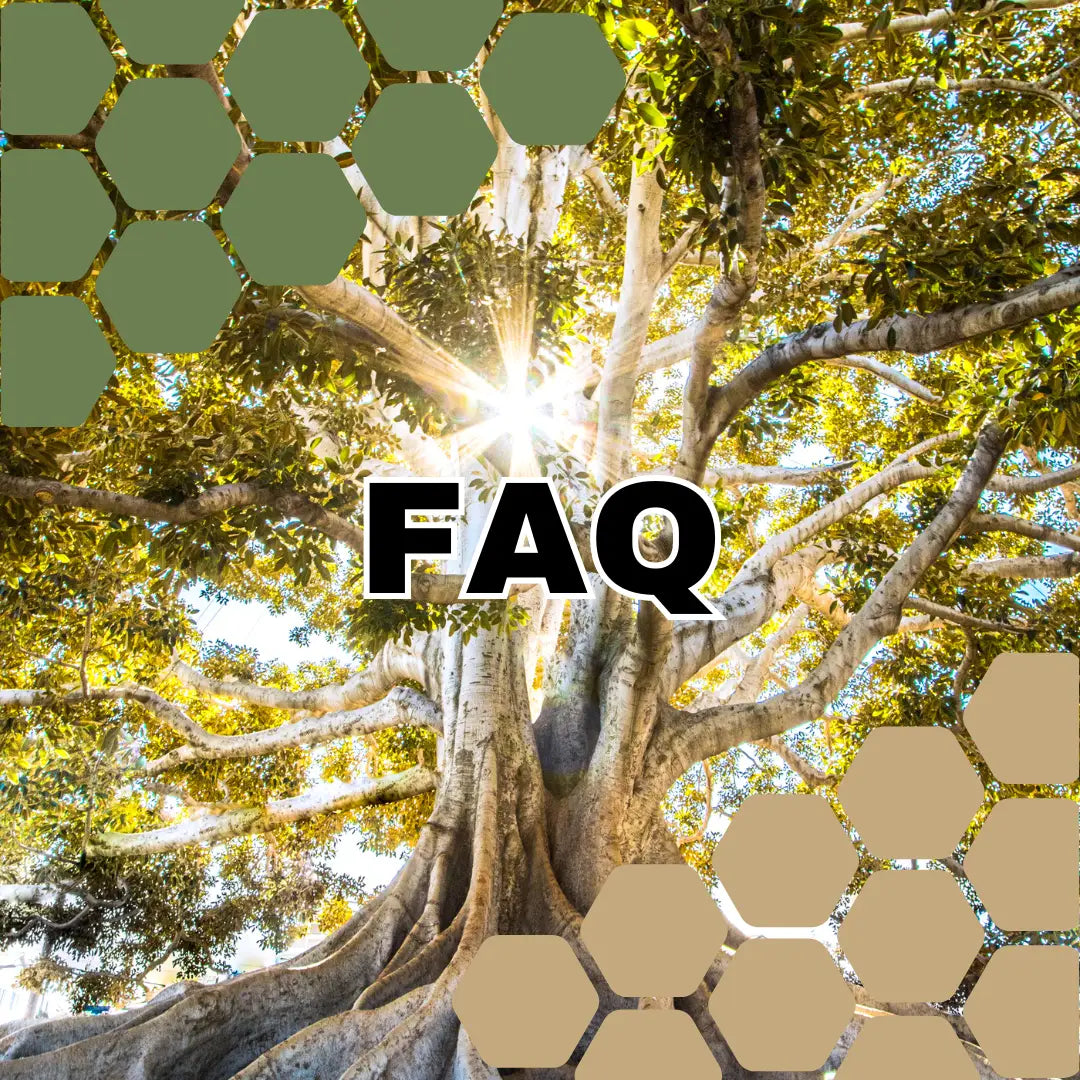 FAQ sur le symbole Arbre de Vie