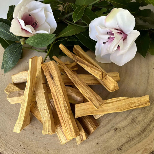 Le Palo Santo le bois sacré des Andes