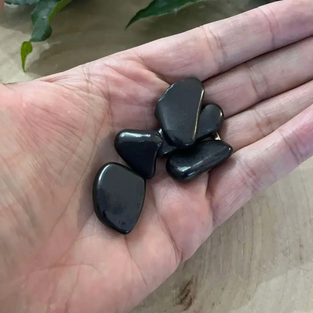 Mini Pierre Roulée Shungite: Purification et Protection