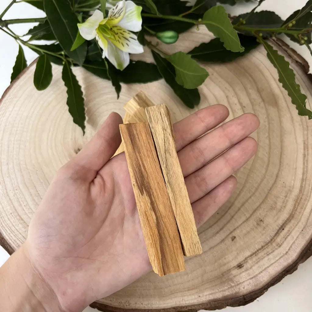 Palo Santo: L’Essence Sacrée et Authentique - 2 Batônnets 10