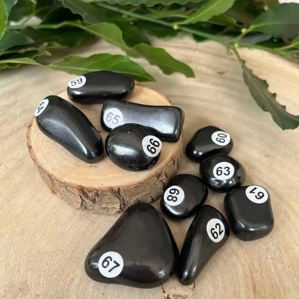 Shungite Pierre Roulée: Purification et Protection