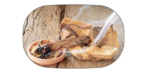 Le Palo Santo le bois sacré des Andes